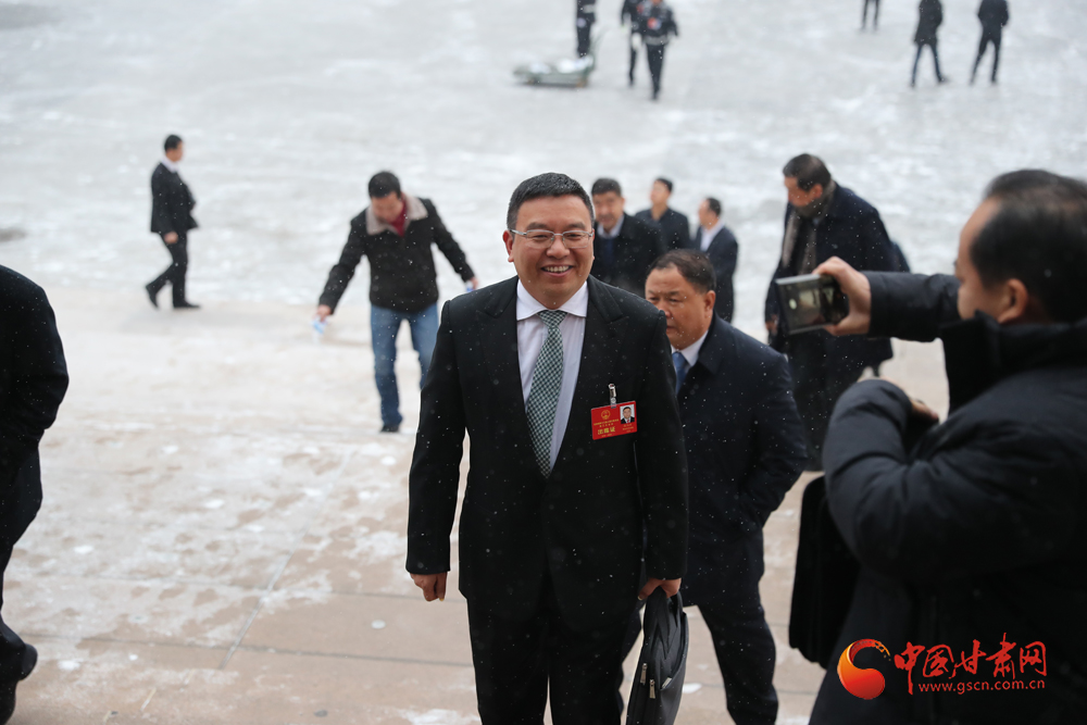【聚焦2020甘肅兩會(huì)】“兩會(huì)”代表、委員風(fēng)采掠影（組圖）