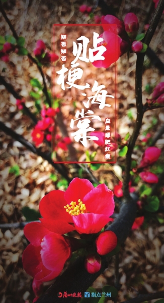 來(lái)，跟這些美美的花朵認(rèn)識(shí)一下！