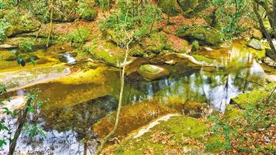 甘肅旅游丨八福溝，西秦嶺深處的水韻秘境