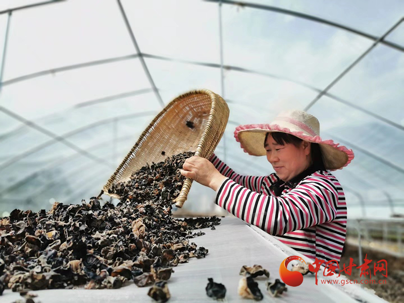 康縣：木耳菌袋結(jié)出脫貧致富的“幸?；ā?>
        </a><em>康縣：木耳菌袋結(jié)出脫貧致富的“幸?；ā?/em></li>
    <li><a  target=