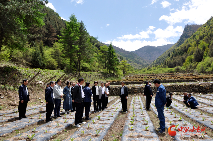 白龍江博峪河保護局開展產業(yè)發(fā)展、義務勞動成果現場觀摩交流活動