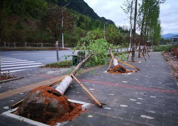 刮風下雨加速新冠病毒傳播？別信！