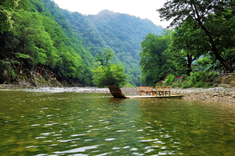 【小隴畫報·95期】康縣：來陽壩，“森”呼吸，我“氧”你