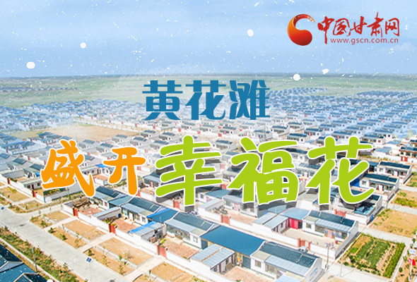 【跟著總書記看甘肅】長圖|武威黃花灘盛開幸?；?