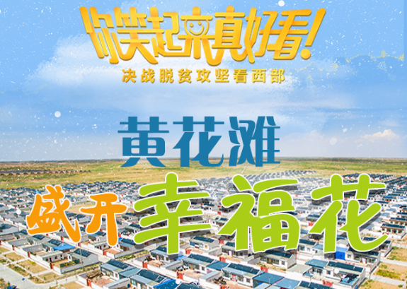 【你笑起來真好看】黃花灘盛開幸?；ǎ▓D解）