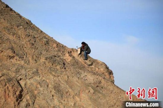 圖為敦煌“80后”畫家張杰龍在敦煌三危山里采集礦石顏料。(資料圖)受訪者供圖
