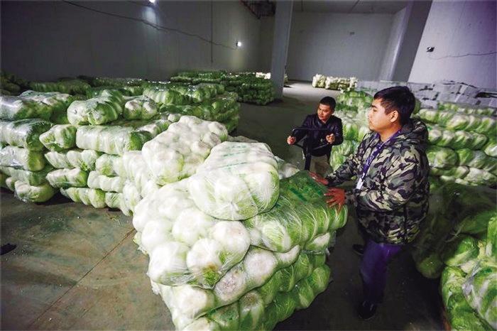 蘭州市已儲備1萬噸冬春蔬菜 以耐貯存、易周轉品種為主