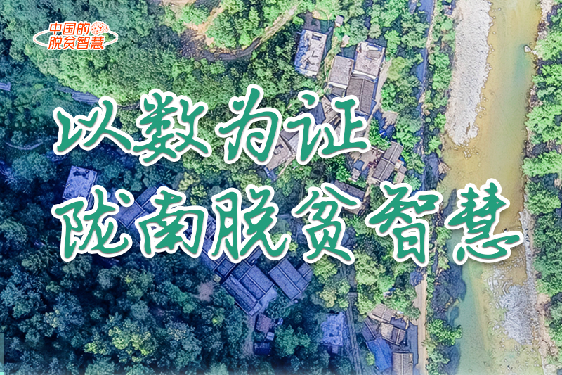 【中國(guó)的脫貧智慧】以數(shù)為證！隴南脫貧智慧來了！