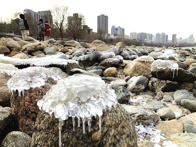 蘭州：水母上河灘？