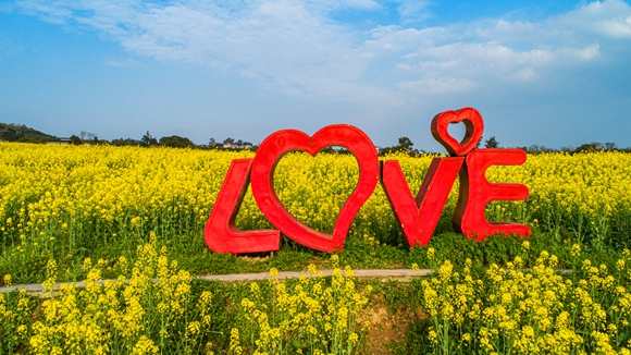 “l(fā)ove”創(chuàng)意拍照墻。廖濤 攝