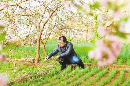 甘肅：時令催人耕種忙，不誤田間一季春