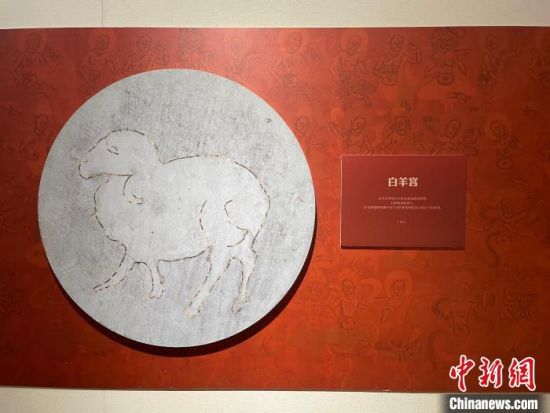 圖為展覽現(xiàn)場?！〗瓧顭?攝