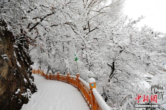 圖為上山的石階被雪覆蓋。張?zhí)鞂?攝