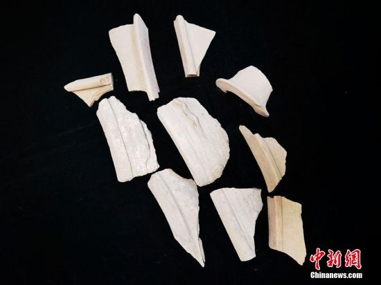 圖為靜寧縣賈河鄉(xiāng)竇坪村出土的彩陶片、紅陶片。 夏劍鋒 攝