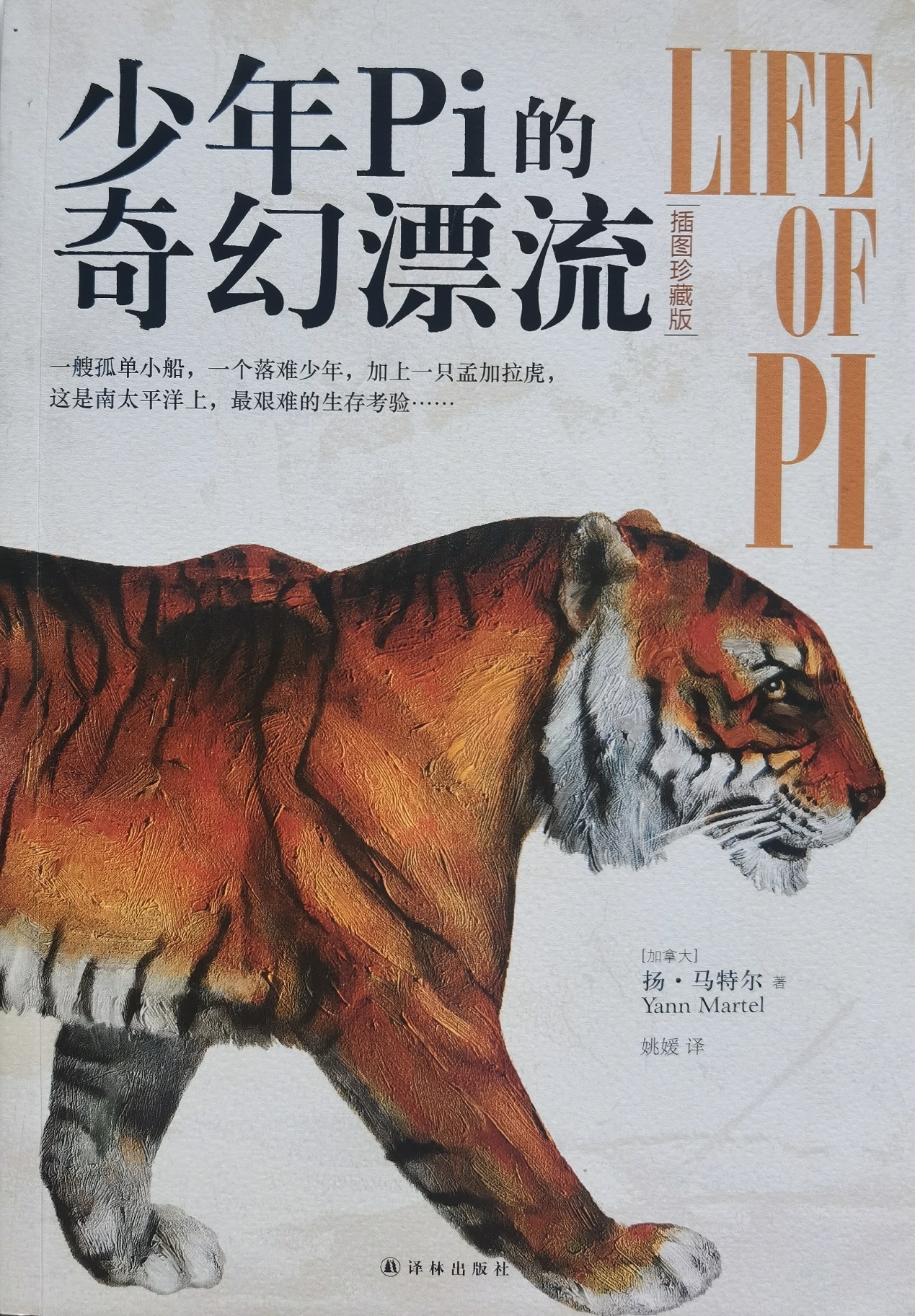 插圖1：揚？馬特爾的小說《少年pi的奇幻漂流》封面