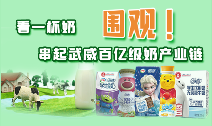 圖解|圍觀！看一杯奶串起武威百億級奶產(chǎn)業(yè)鏈