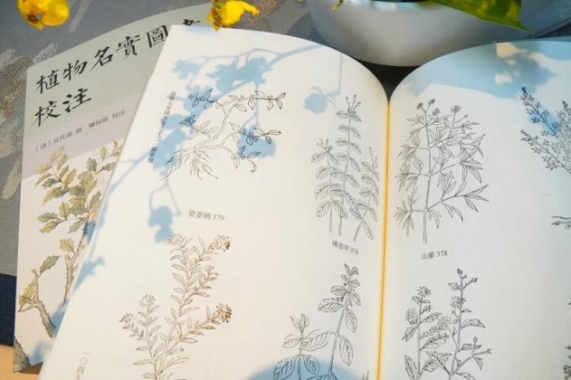 《植物名實(shí)圖考校注》內(nèi)頁(yè)。圖片來(lái)源：中華書(shū)局供圖