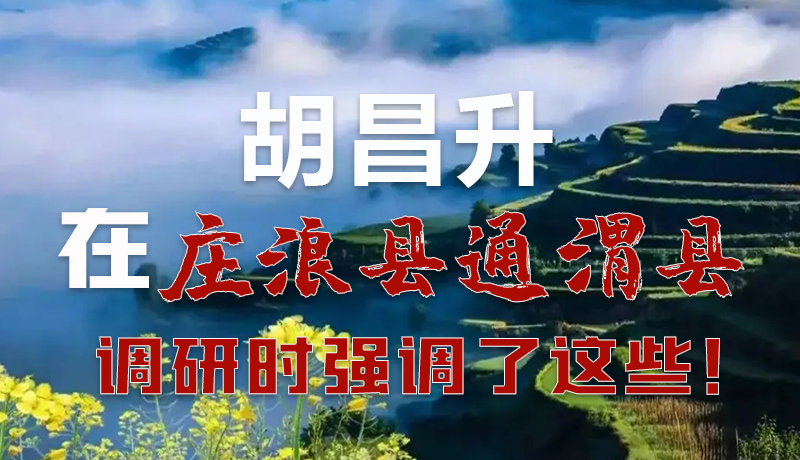 圖解|胡昌升在莊浪縣通渭縣調(diào)研時(shí)強(qiáng)調(diào)了這些！
