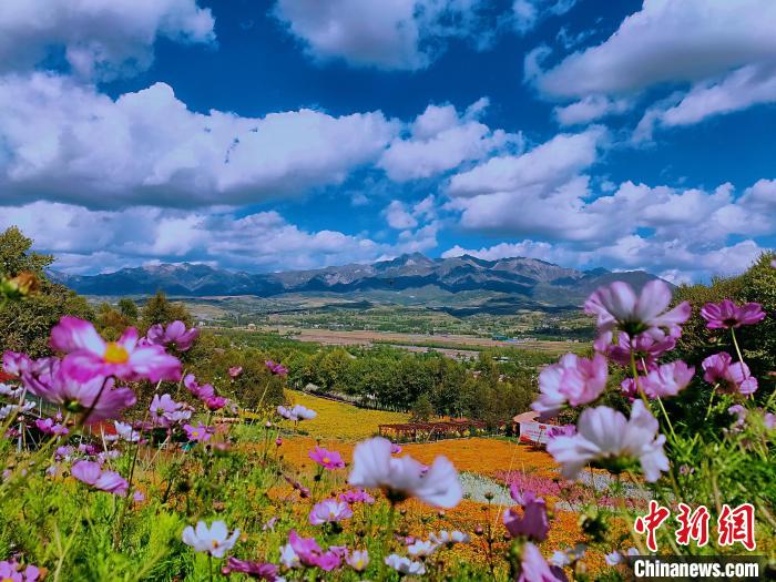 圖為盛夏時(shí)節(jié)的油嘴灣“花?！薄！∈茉L者供圖