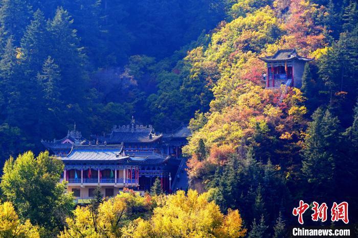 深秋，位于蘭州市榆中縣的興隆山景色如畫。宮衛(wèi)紅 攝
