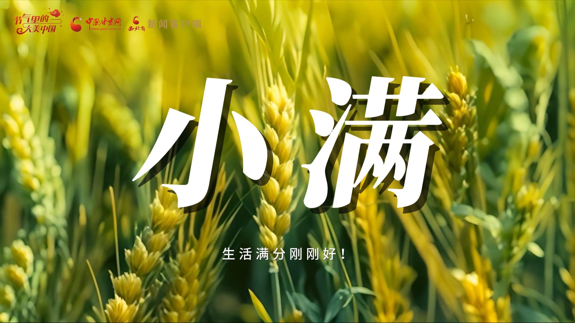 【節(jié)氣里的大美甘肅·小滿】生活滿分剛剛好！