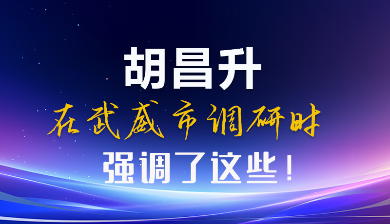 圖解|胡昌升在武威市調(diào)研時強調(diào)了這些！