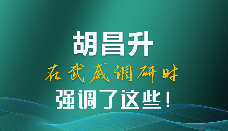 圖解|胡昌升在武威調(diào)研時(shí)強(qiáng)調(diào)了這些！