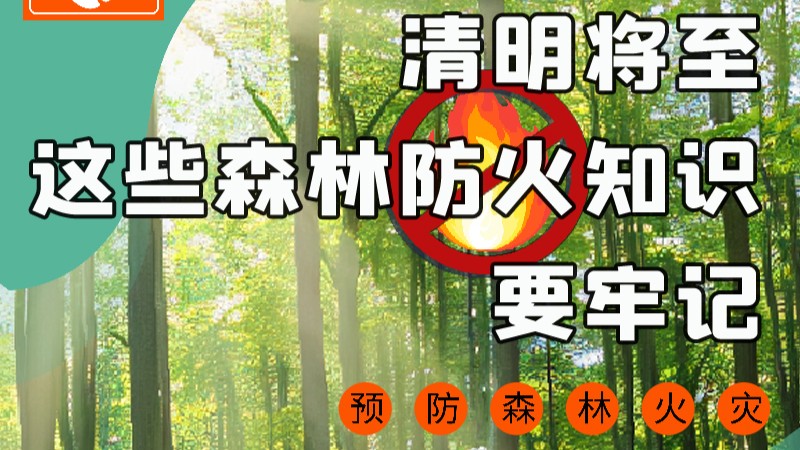 【甘快看】圖解|緊繃“安全弦”！清明，這些森林防火知識要牢記