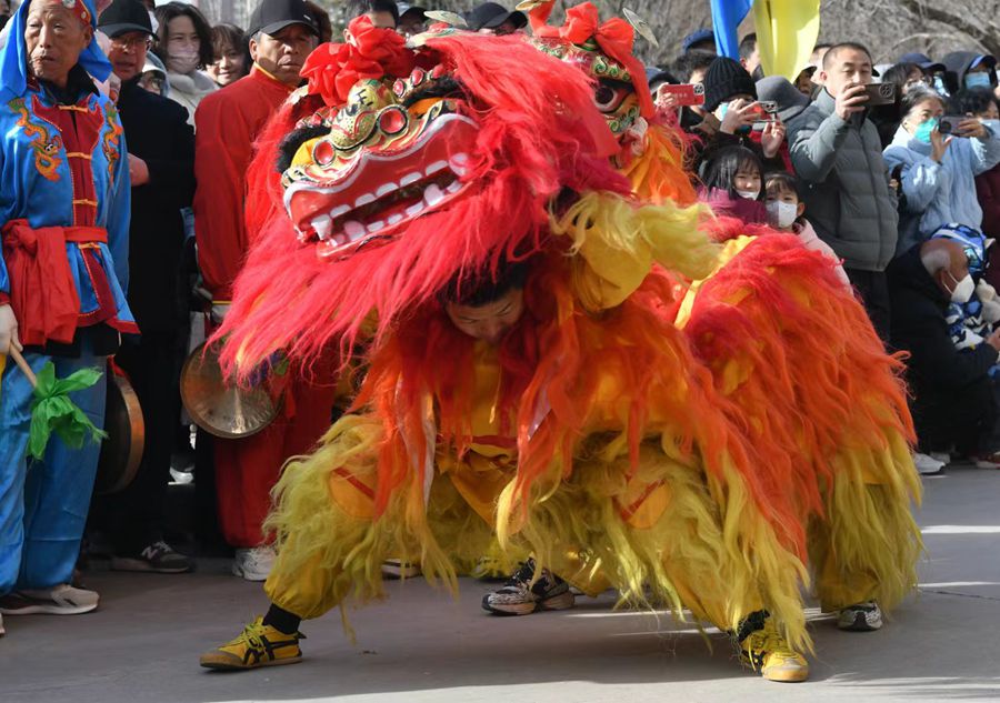 蘭州北獅表演現(xiàn)場(chǎng)。受訪(fǎng)者供圖