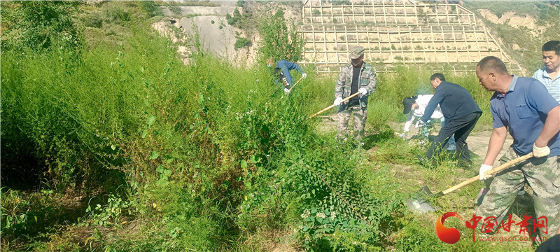 開展蒿草集中清理 