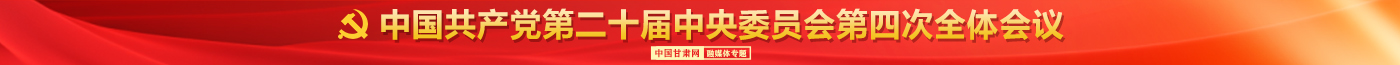 二十屆四中全會